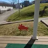 Ed Binion - @ed.binion - TikTok