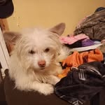 Eddie Boatwright - @mom_pandababy - Instagram