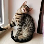 Eddie Hakelsonn von Schißbold - @eddie.hakelsonn.von.schissbold - Instagram