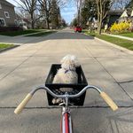 Edward Jablonski - @eddiebones - Instagram
