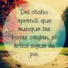 Eddy Borja - @eddy.borja - TikTok