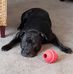 Eddie Bostic - Facebook