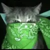 Eddie - @eddie_botello - TikTok