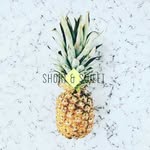 Eddie Bourque - @clyde70570 - Instagram