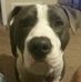 Eddie Bowers - Facebook