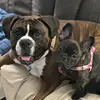 eddie - @eddieboxer - TikTok