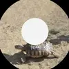 eddieBoxing - @eddieboxing - TikTok