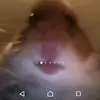 Edward-boxed-you @funny_memes5 - @eddieboxedyou - TikTok