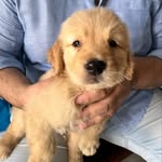 Eddie Boy - @lifewitheddieboy - Instagram