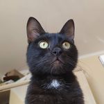 Eddie Boy - @eddie_boycello - Instagram