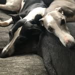 Eddie & Brian - @eddieandbrian - Instagram