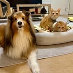 EDDIE & BRIAN & IVAN - @eddie.brian.ivan - Instagram