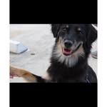 @eddie.burto - Instagram