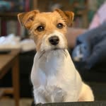 Eddie ❤️ - @eddie_bus2019 - Instagram