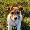 eddie_bus - @eddie_bus2019 - TikTok