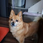 Eddie Bus - @eddie.bus - Instagram