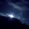 Eddie Bush - @eddiebush - TikTok