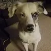 eddiebush642 - @eddiebush642 - TikTok