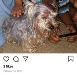eddiebustillos - @eddiebustillos35 - Instagram
