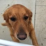 Eddie Cameron - @cameron.eddie - Instagram