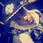Eddie_Cantu - @eddie_fusionn - Instagram