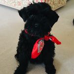 Ed Capel Cure - @eddiecapelcure - Instagram