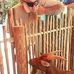 Eddie Cason - Facebook
