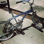 Eddie Lee Cason - @eddie.cason.9212 - Instagram