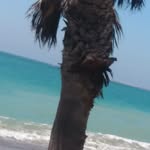 Eddie Chacon - @chaconeddie77 - Instagram