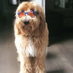 Eddie Chadwick - @bubbledogsadie - Instagram