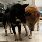 EDDIE & CHARLES - @eddie.licious - Instagram