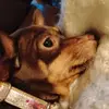 Eddie Charles Eastridge - @eddie.charles.eas - TikTok