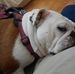 Eddy Cheek - Facebook