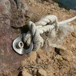 Eddie Chow - @eddiechow007 - Instagram