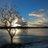 Eddie Chow - @eddiechow5 - TikTok