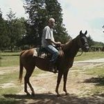 Eddie Cline - @clineeddie - Instagram