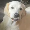 addie colclasure - @addie.colclasure - TikTok