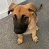 Freddie Collison - @freddie.collison - TikTok
