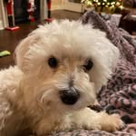 Eddie Conn - @eddie.conn.90 - Instagram
