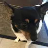 Eddie - @eddieconniff - TikTok