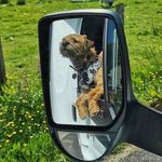 Eddie Connell - @eddiecthebt - Instagram