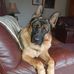 Eddie Cotter - Facebook