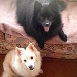 EddieandErica Cotter - @cottereddieanderica - Instagram