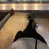 Edddie - @ecrainum - TikTok