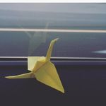 Eddie The Crane - @eddiethecrane - Instagram