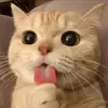 Eddie Crew - @eddie.crew - TikTok