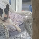 Eddie Cross - @eddiecross52 - Instagram