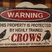 Eddy Crow - Facebook