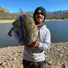 Eddie Cuevas - @eddiecuevas2 - TikTok