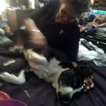 Eddie Davidson Jr. - @davidson_jr_eddie - Instagram
